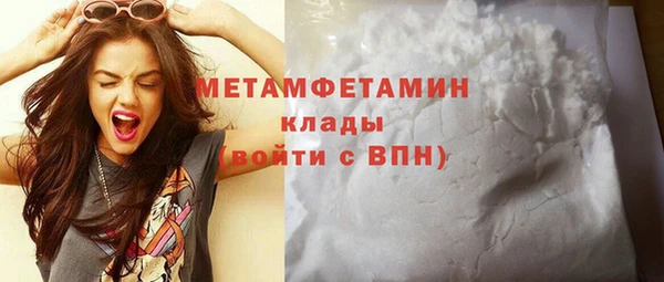 стаф Ельня