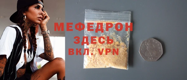 стаф Ельня