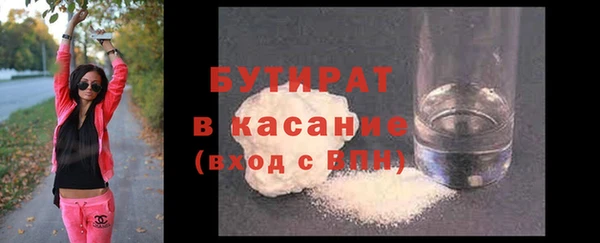 стаф Ельня