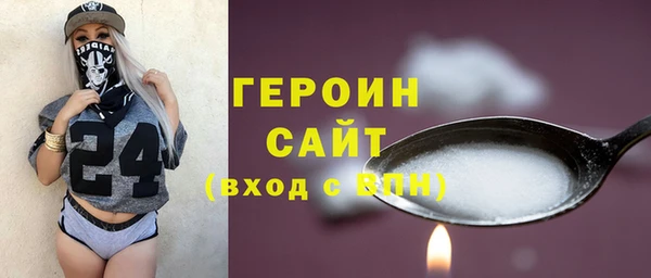 стаф Ельня