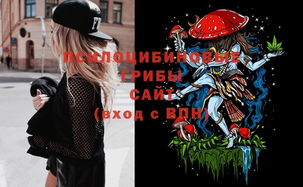 герыч Дмитриев