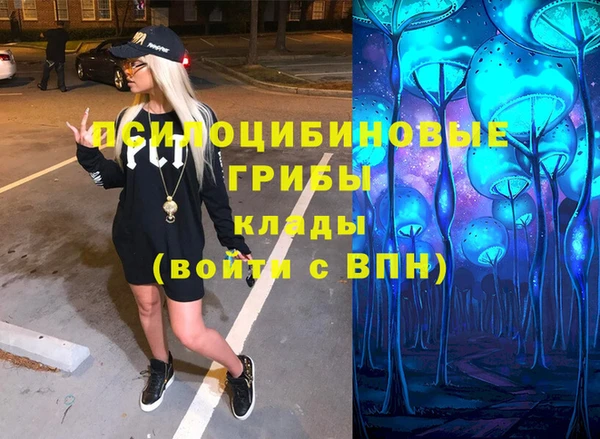 стаф Ельня