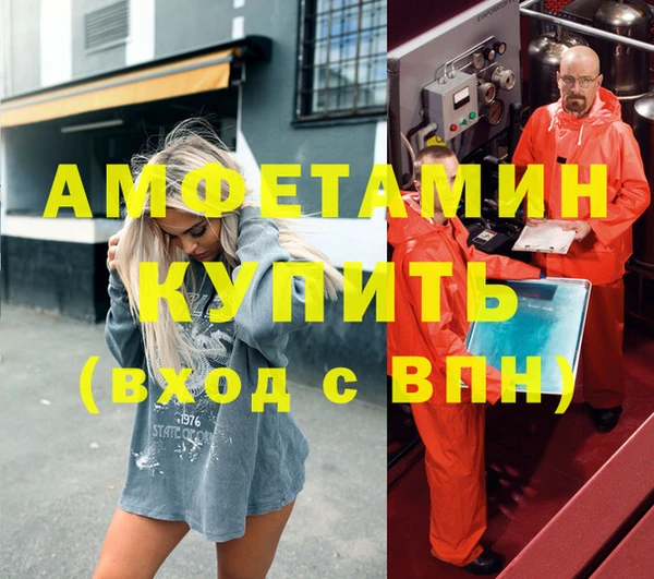 стаф Ельня
