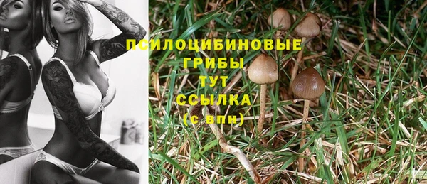 синтетический гашиш Елизово