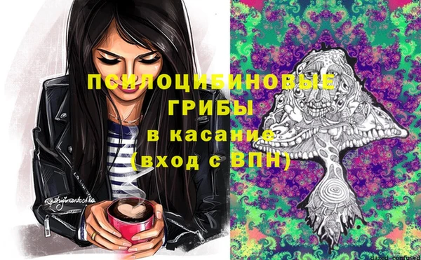 синтетический гашиш Елизово