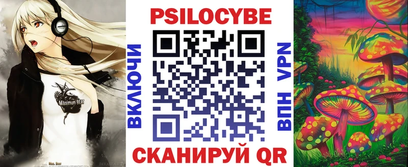 Купить закладки Нижняя Салда Псилоцибиновые грибы Cubensis